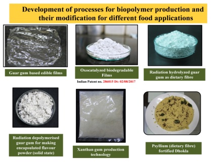 Processes for Biopolymer Production